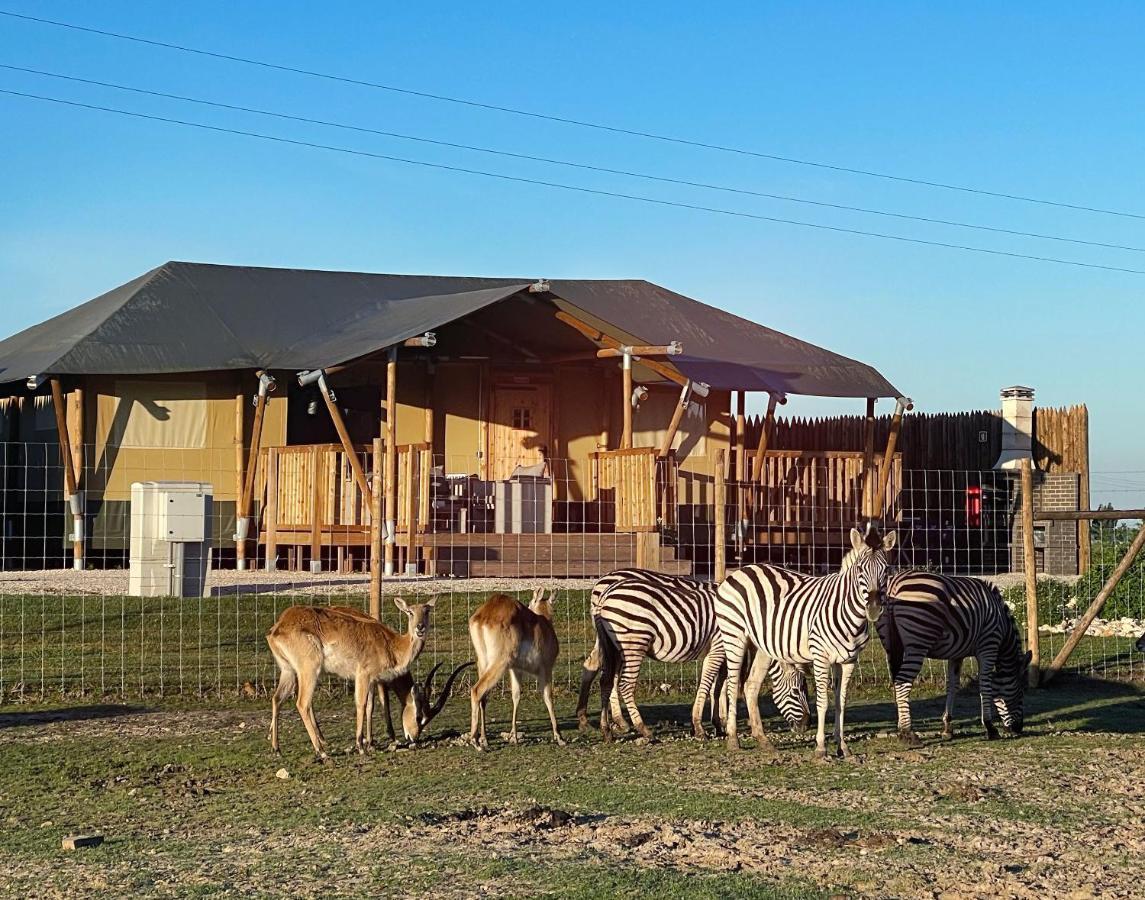 Kuanza Farmhouse And Lodge Замбужейра-ду-Мар Екстер'єр фото